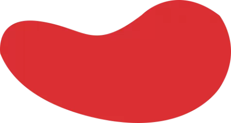 PNG电子·(中国)集团