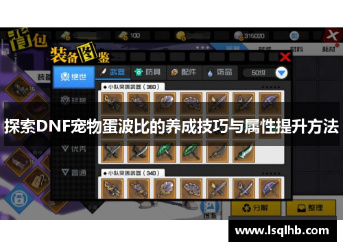 探索DNF宠物蛋波比的养成技巧与属性提升方法